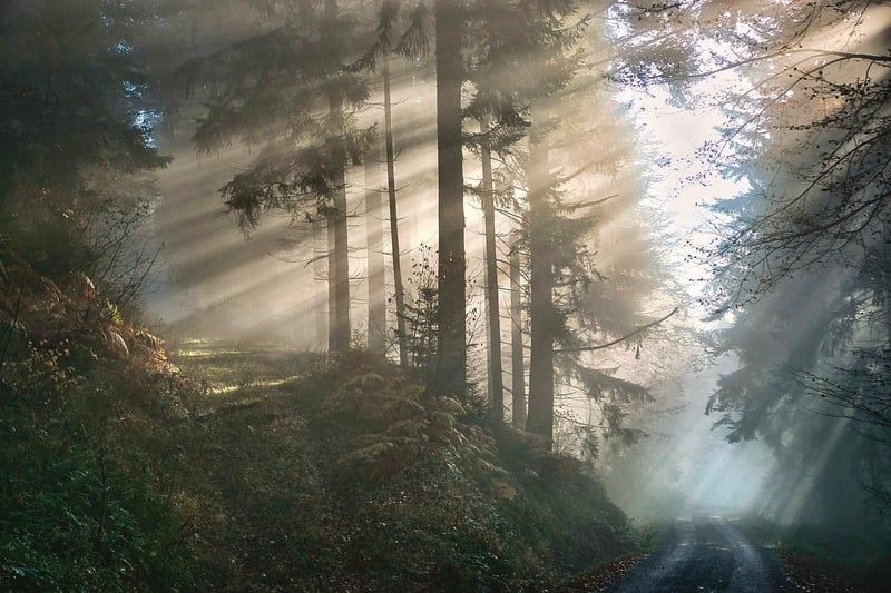Mystical Image
